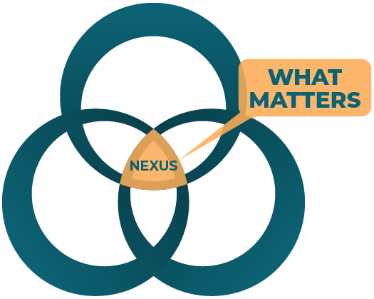 daneli partners nexus venn diagram