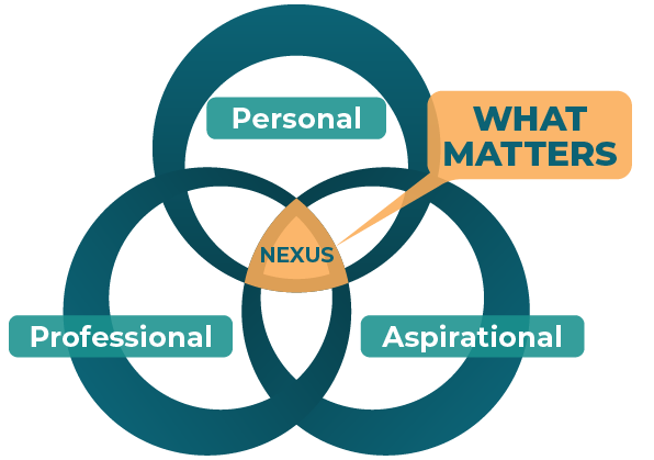 daneli nexus - what matters venn diagram